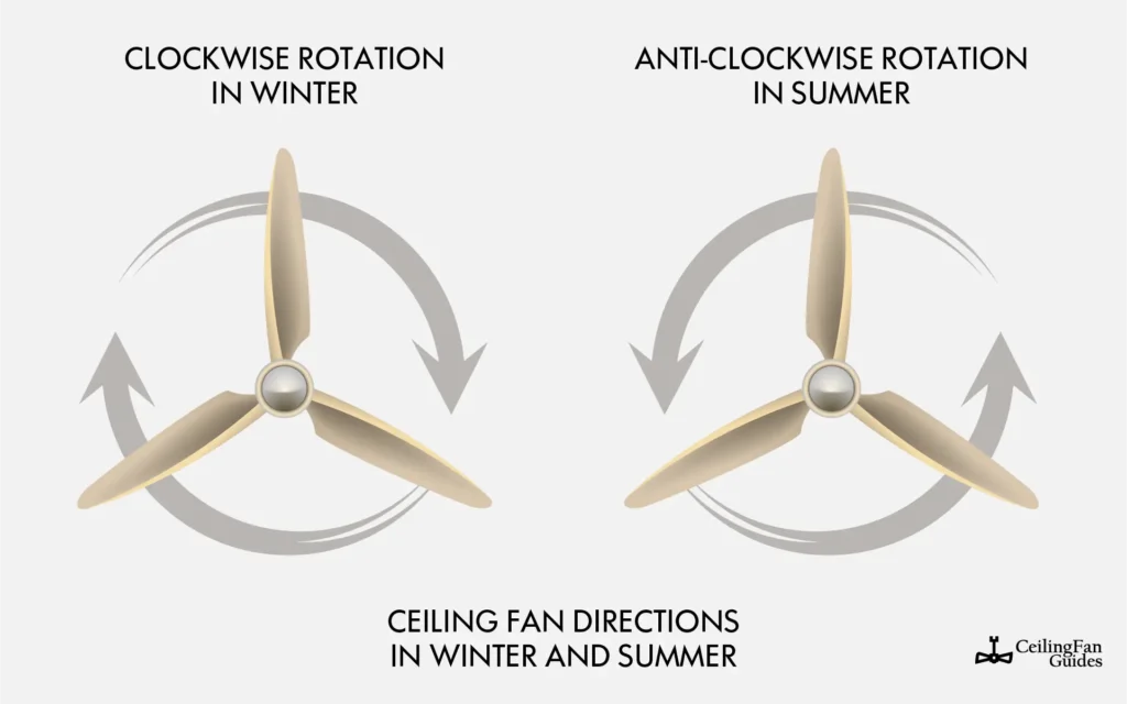 How to Use a Ceiling Fan in the Winter for Heat Circulation